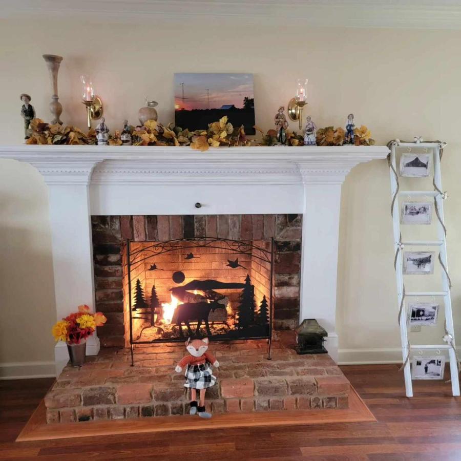 Moonlight Manor Bed & Breakfast Floyd Extérieur photo